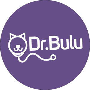 Dr Bulu