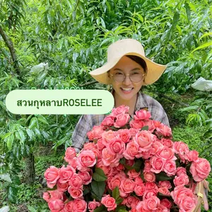 โรสลี