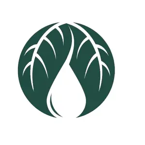 OILYNS OFFICIAL STORE