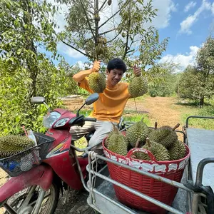 มะขามหวานพอดี3