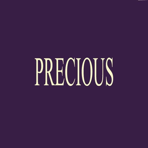 Precious Handbag