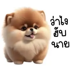 แอนนี่ shop789