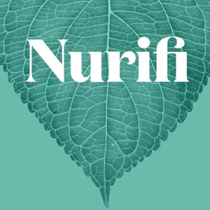 nurifi.co