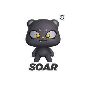 Soar Cat Litter