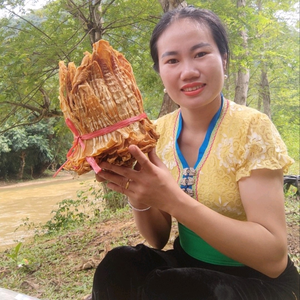 Đinh Hồng Tây Bắc