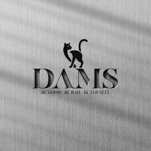 DAMS-STORE
