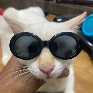 Nabilifwat