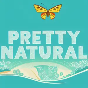 Pretty Natural