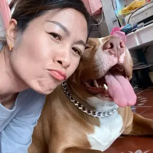 ผักกาดหอม แม่อิชาบู