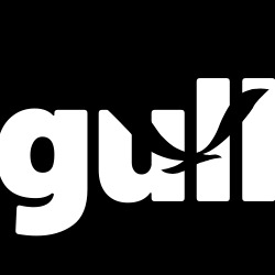 Gull - Men store