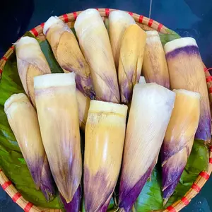 Măng mầm 4 mùa