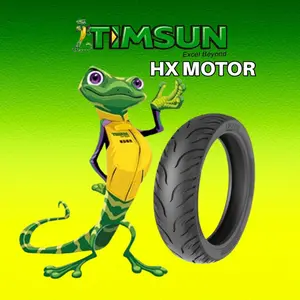 HX MOTOR