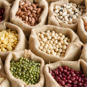 Dailyseeds