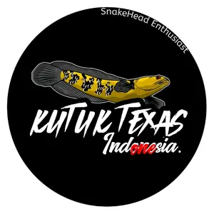 Kutuk Texas Indonesia