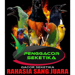 PENGGACOR SEKETIKA