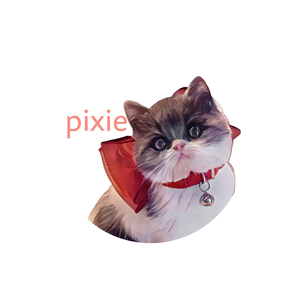 Pita Pixie