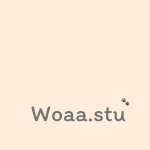 Woaa.Stu