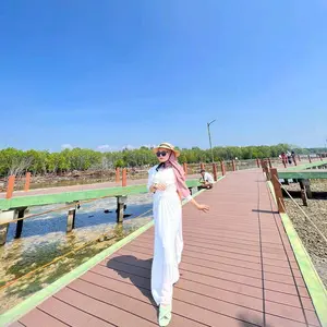 stream-type-image.png
