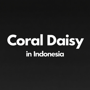 a coral daisy