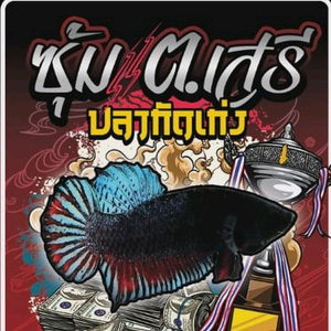 ซุ้มตเสรีปลากัดเก่ง