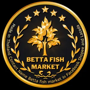 Betta fish market