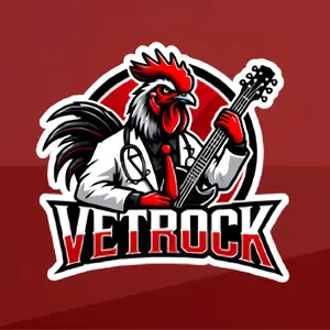 VETROCK INDOVETIS