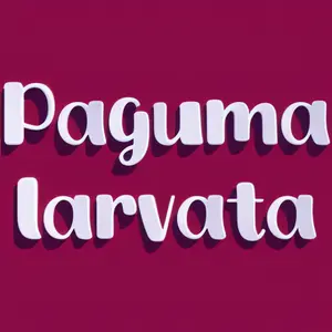 Paguma larvata