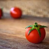 TOMATO LOVE HOME