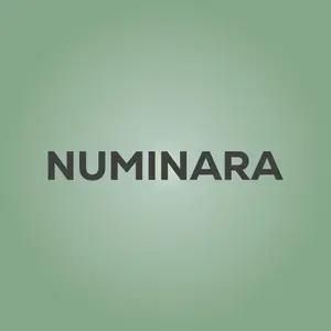 NuminaraOS