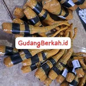GudangBerkah.id