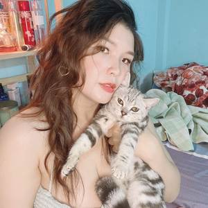 MÈO TRÊN MÂY
