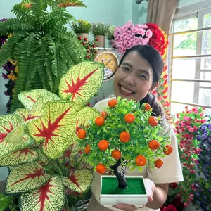 Nui Home and Garden