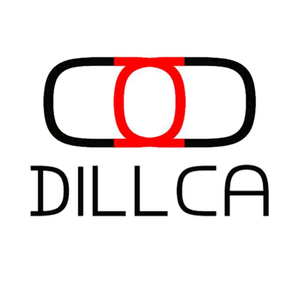 Dillca Store