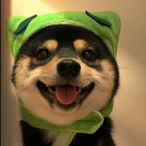 Hanzoudepartmentshop