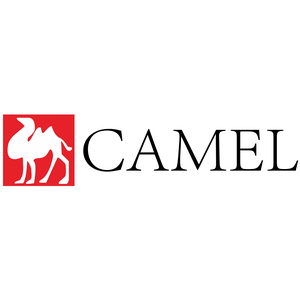 CAMEL Mall