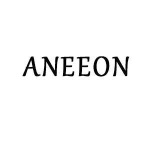 ANEEON Story