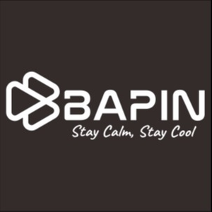 Bapinstore