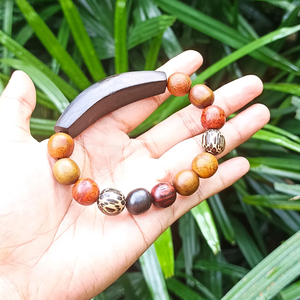 Moksulynie herbs 3