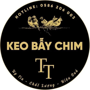 Keo Bẫy Chim TT
