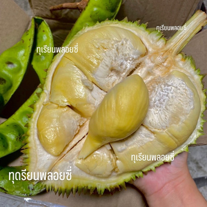 ทุเรียนพลอยซี่และผลไม้
