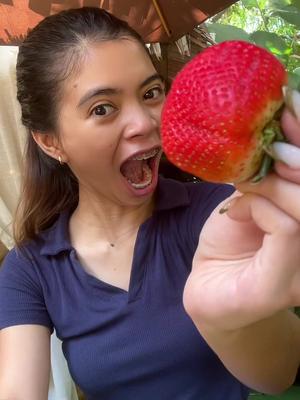 Combo yan beh!!🤣💚🍓