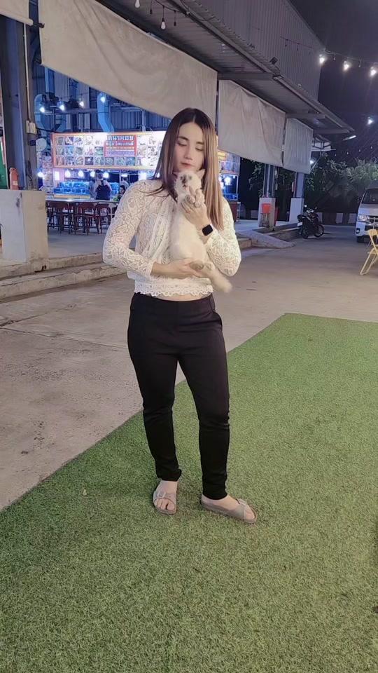 #จิ้มในตะกร้าเลยจ้า🧺👇🏻 #คอนเทนต์ #ขําขํา #แมวเหมียว #แมวน่ารัก #เต้นลดพุง #แกล้งแมว 