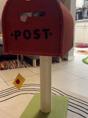 MAAAIIIILLL TIMEEEEE…. We just got a letter i wonder who its from🤔 #happyandpolly 