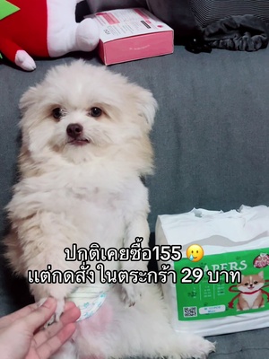 ลูกชายชอบยกขามากตัวช่วยคือต้องใส่โอบิเท่านั้น ไม่งั้นพังไปหมด #ผ้าอ้อมสุนัขตัวผู้ #คนรักสัตว์ #สนใจสินค้าจิ้มในตะกร้าได้เลย🌈 #โอบิสุนัข 
