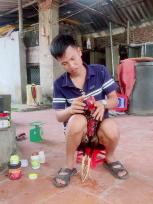 Lại chén.#Gachoivietnam #gachoivietnam @duan_bg90 