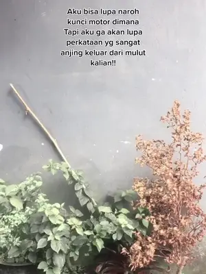 Sakit kalo di pukul bisa di sembuhkan , tapi kalo sakit karena perkataan ga akan mudah di lupakan!