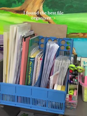 When your files are finally organized 😍 #tiktokfinds #fileorganizer #organizer #tableorganizer #deskorganizer #organizerideas #documents #table #organization #sale #budol #stationery #schoolsupplies #penholder #teacher #lifeasateacher #school #studentlife #fyp 
