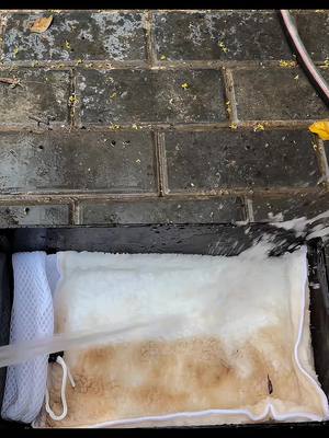 Filter cotton adalah kunci kejernihan air aquariummu! Dengan teksturnya yang lembut namun padat, filter cotton mampu menangkap kotoran halus, sisa makanan, dan partikel kecil yang tak terlihat. Ini membantu menjaga air tetap bersih dan sehat untuk ikan kesayanganmu. Jangan lupa mencucinya kembali agar filter tetap bekerja maksimal! 🌊✨#aquarium #keepers #filteraquarium #predatorfish #ikanhias #ikanpredator #mediafilter #filtercotton #channa