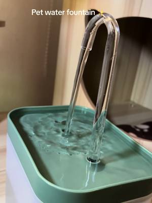 🫶🏻✨ #hyingstore #petwaterfountain #petwaterdispenser #waterfountain #waterdispenser #catsoftiktok #blueandgeorge