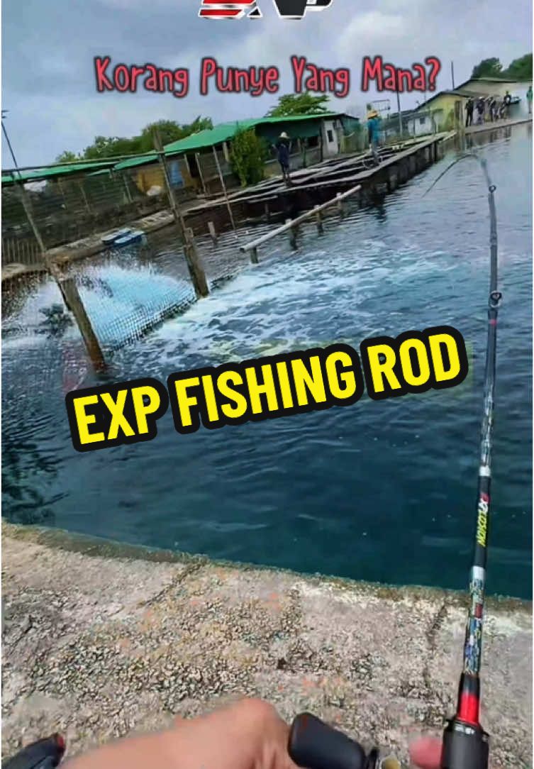 Rod Exp Fishing. #rodexp #joranexp #expfishing 